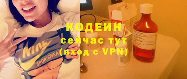 эйфоретик Алзамай