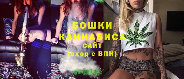 шишки Алексеевка