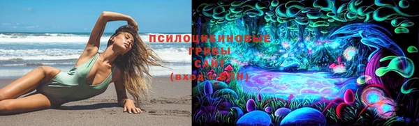 шишки Алексеевка
