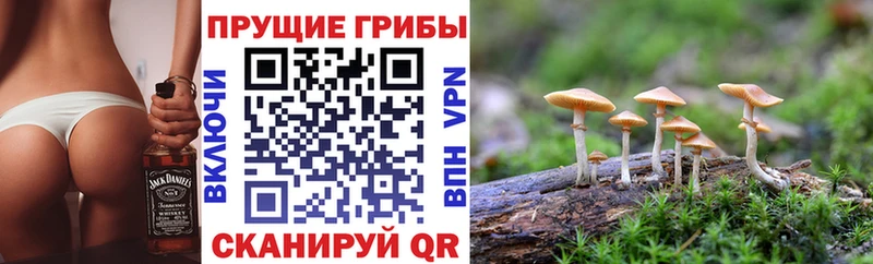 Галлюциногенные грибы Cubensis MEGA как зайти Перевоз